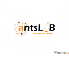 Ants Lab - 1/1