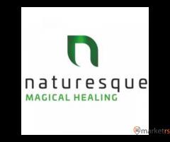 Ayurvedic & Natural Wellness Products in India | Naturesque