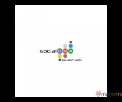 Social DNA - 1/1