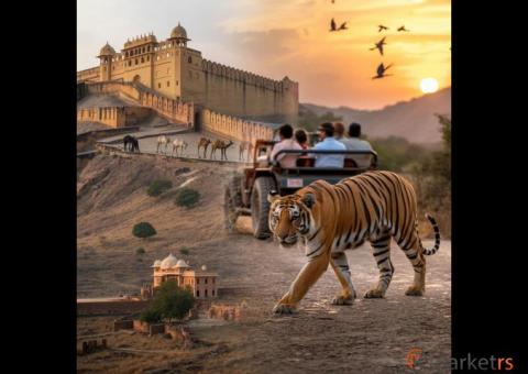 Jaipur Ranthambore Tour Itinerary to Explore Rajasthan’s Best Kept Sec