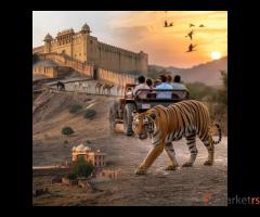 Jaipur Ranthambore Tour Itinerary to Explore Rajasthan’s Best Kept Sec