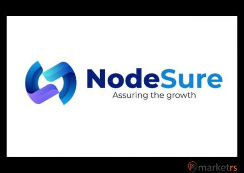 Custom Website Development Services NodeSure Technologies