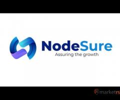 Custom Website Development Services NodeSure Technologies