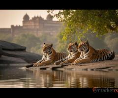 Jaipur And Ranthambore Tour Package Explore Culture and Adventure Toge - 1/1
