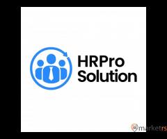 HRPro Solution Pvt Ltd